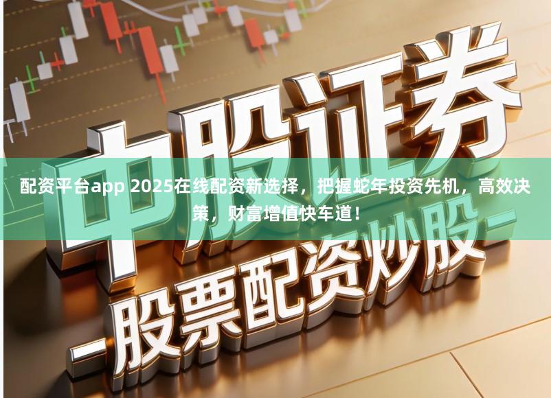 配资平台app 2025在线配资新选择，把握蛇年投资先机，高效决策，财富增值快车道！
