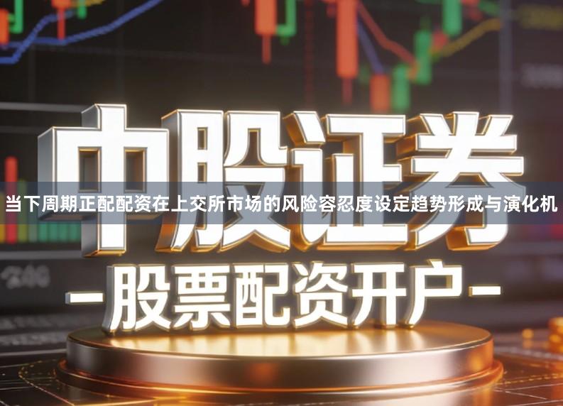 当下周期正配配资在上交所市场的风险容忍度设定趋势形成与演化机